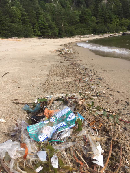 Ziploc Bags and Fishing Lure Bags Litter Sandy & Long Beach – Wawa