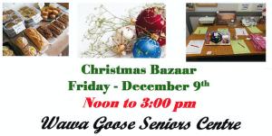 Wawa Goose Senior's Centre - Christmas Bazaar @ Wawa Goose Senior Centre, Broadway Avenue