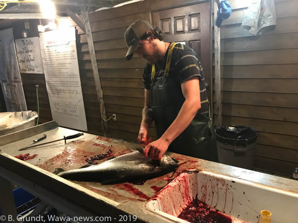 2019FSalmonDerby-3552