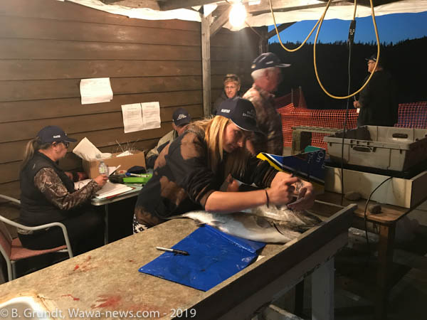 2019FSalmonDerby-3559
