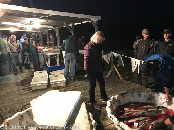 2019FSalmonDerby-3575